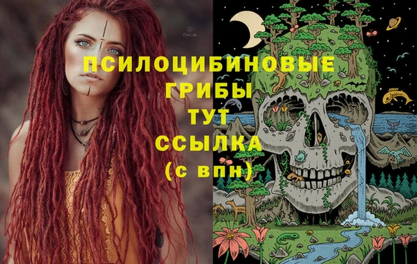 apvp Абдулино