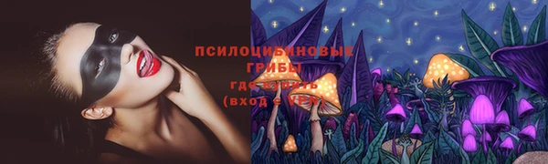 apvp Абдулино