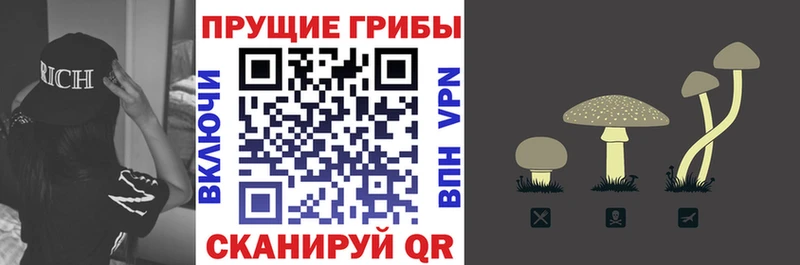 Галлюциногенные грибы GOLDEN TEACHER  Липецк 
